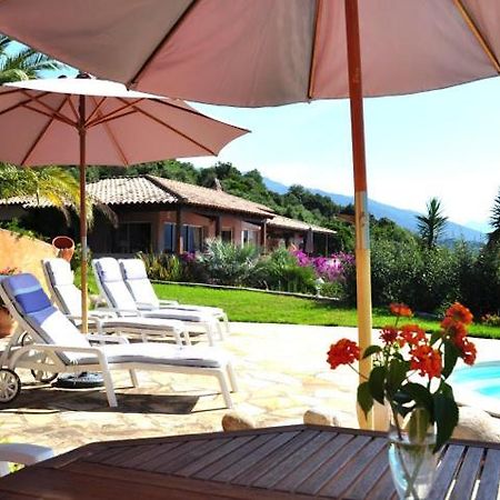 Villa Vetricella Corse Sud Ольмето Экстерьер фото