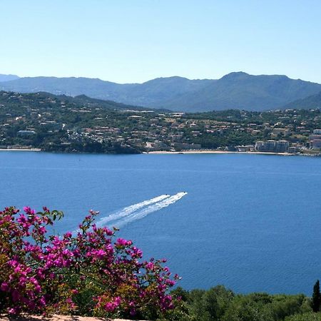Villa Vetricella Corse Sud Ольмето Экстерьер фото