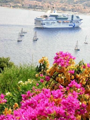 Villa Vetricella Corse Sud Ольмето Экстерьер фото