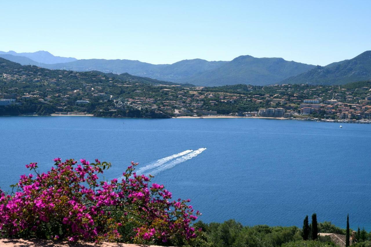 Villa Vetricella Corse Sud Ольмето Экстерьер фото