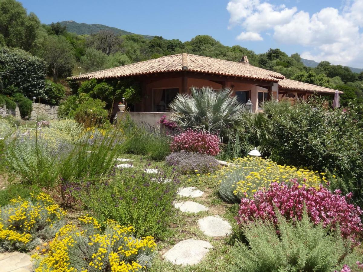 Villa Vetricella Corse Sud Ольмето Экстерьер фото