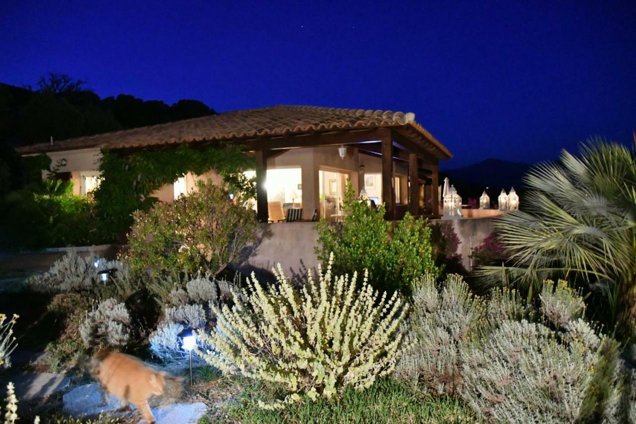 Villa Vetricella Corse Sud Ольмето Экстерьер фото